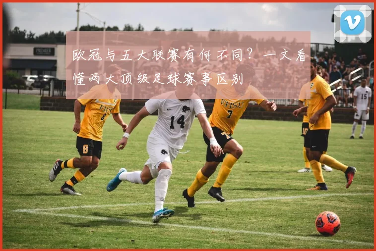 欧冠与五大联赛有何不同?一文看懂两大顶级足球赛事区别